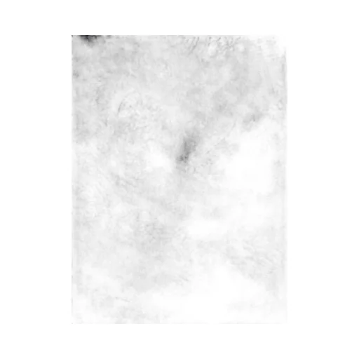 Paisley Jacquard Frayed Edge Scarf