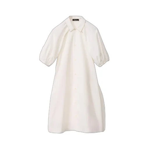 Lapel Dress