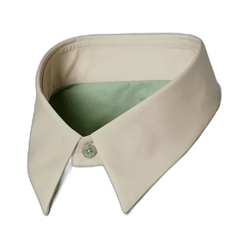 Light Green Poplin Shirt