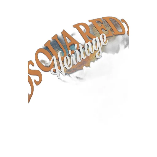 Printed Distressed Hoodie