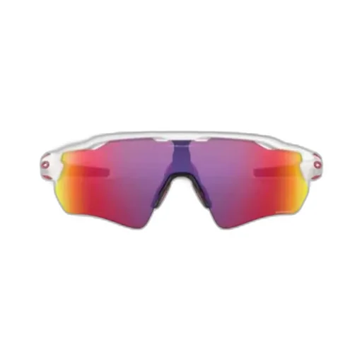 Logo Details Sunglasses