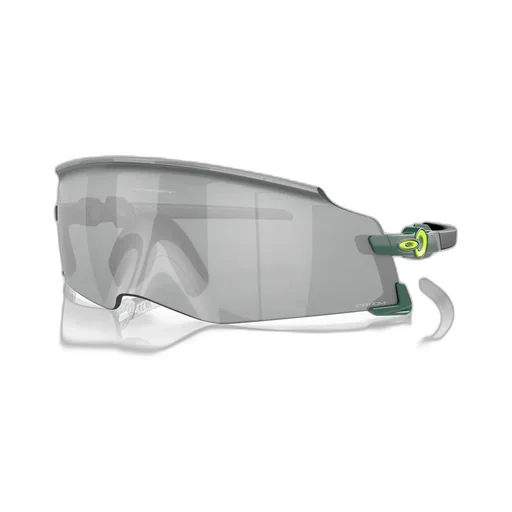 Sole Sunglasses
