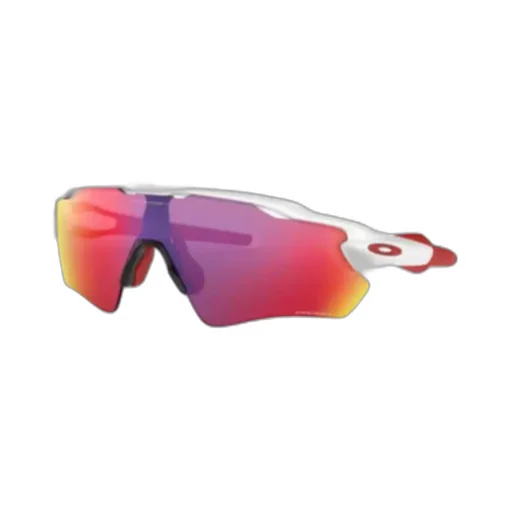 Logo Details Sunglasses
