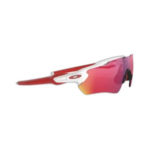 Logo Details Sunglasses