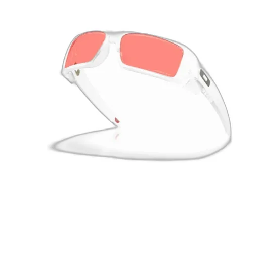 Gascan Sunglasses