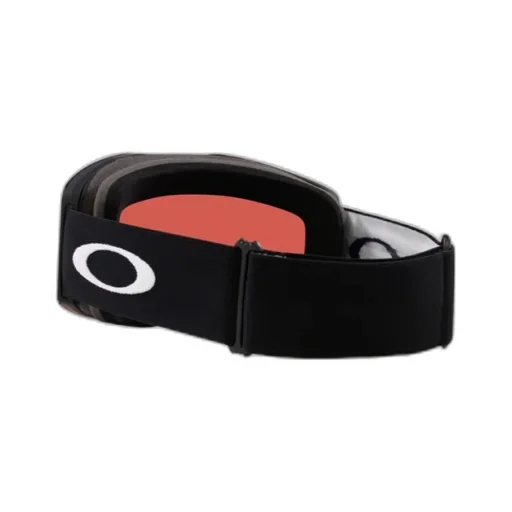 Ski Goggles