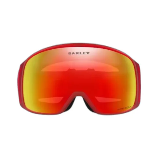 Ski Goggles