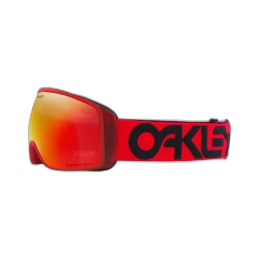 Ski Goggles