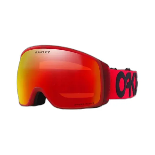 Ski Goggles