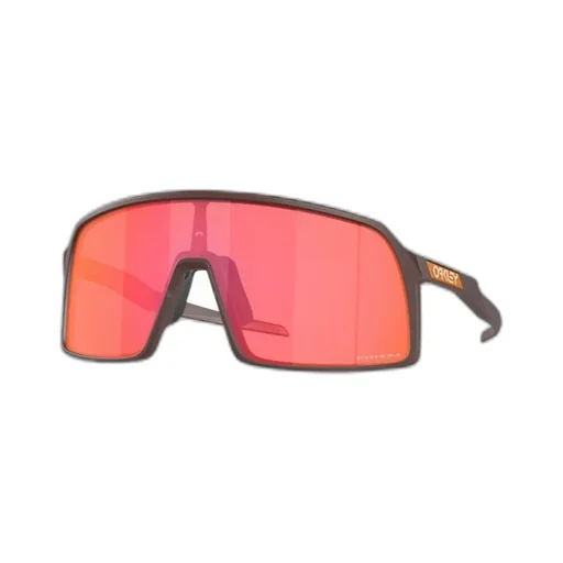 Geometric Sunglasses