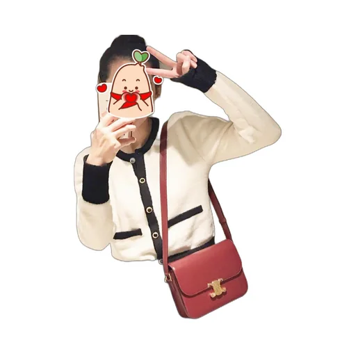 Classique Triomphe Bag In Shiny Calfskin