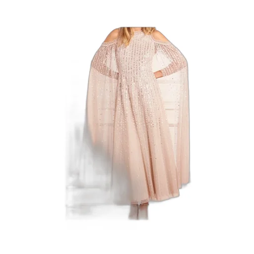Sequined Cape Sleeve Gown