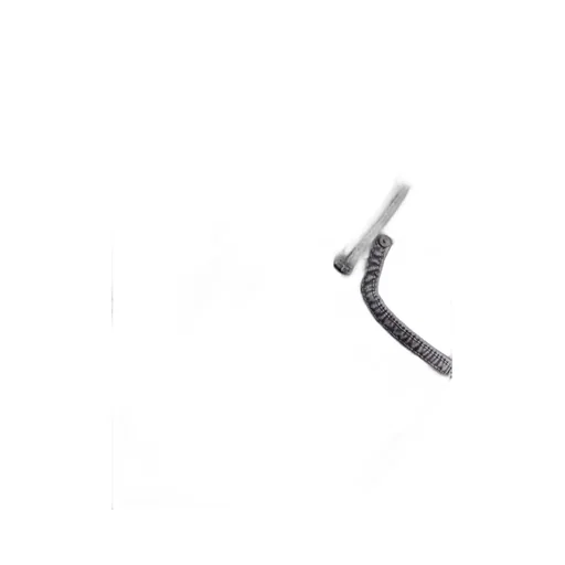 Logo Jeans