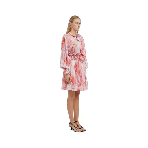 Ruffle Detailed Dress