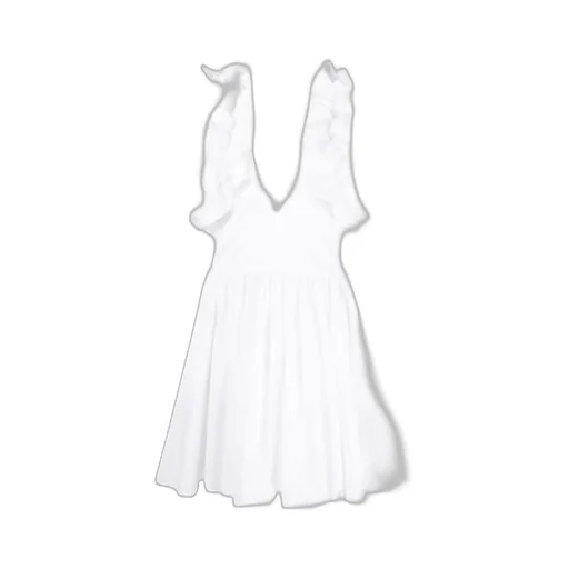 Flared Dress With Lotus Leaf Sleeves