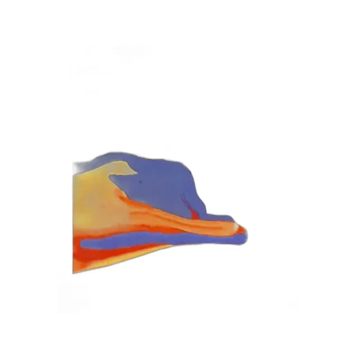 Color-Block Camouflage Shorts