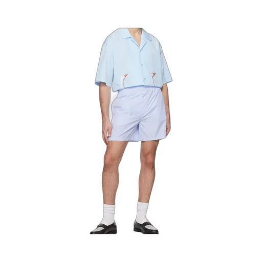 Goose Embroidery Striped Poplin Shorts