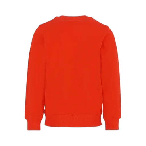 Bear-Motif Sweatshirt