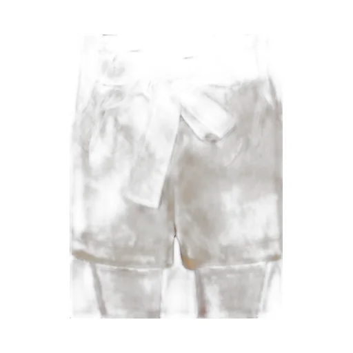 Pleat Detailed Belted Shorts