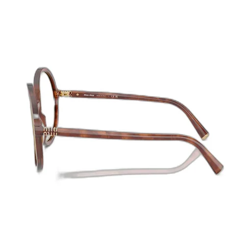 Round Frame Sunglasses