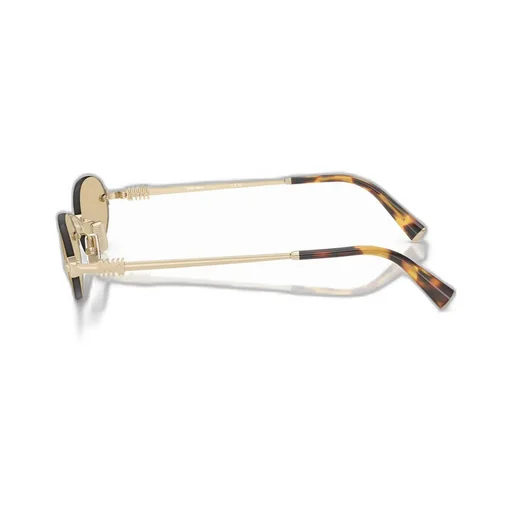 Oval Frame Sunglasses