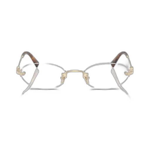 Oval Frame Glasses
