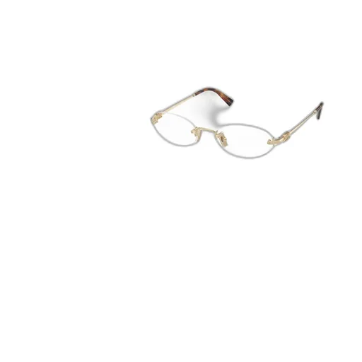 Oval Frame Glasses