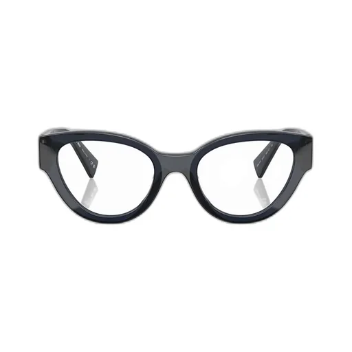 Eyewear Cat-Eye Glasses