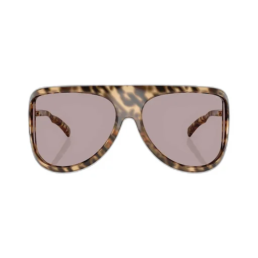 Shield Sunglasses