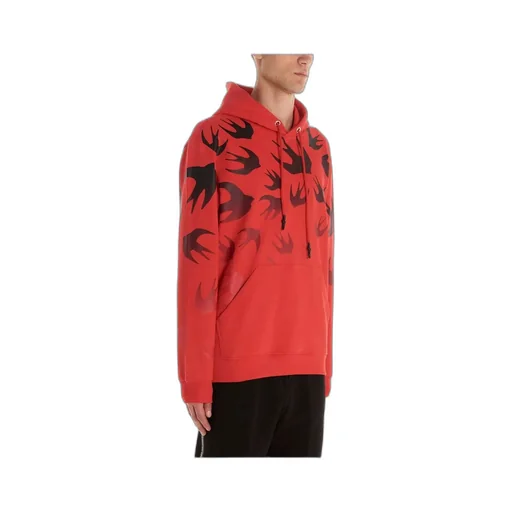 Swallow Printed Hooded Sweater