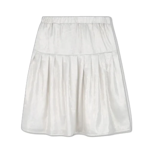 Pleated Skirt