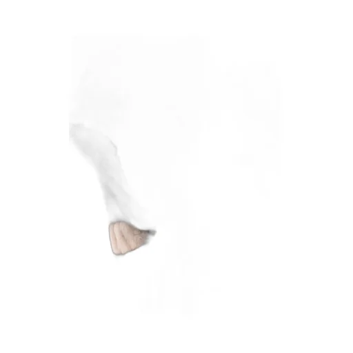 Belted Short-Sleeved Cape