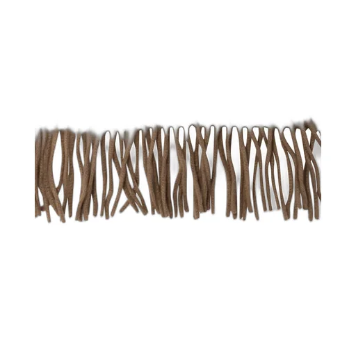 Wsdalia Fringed Scarf