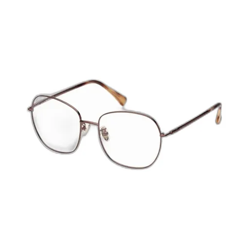 Oval Frame Glasses