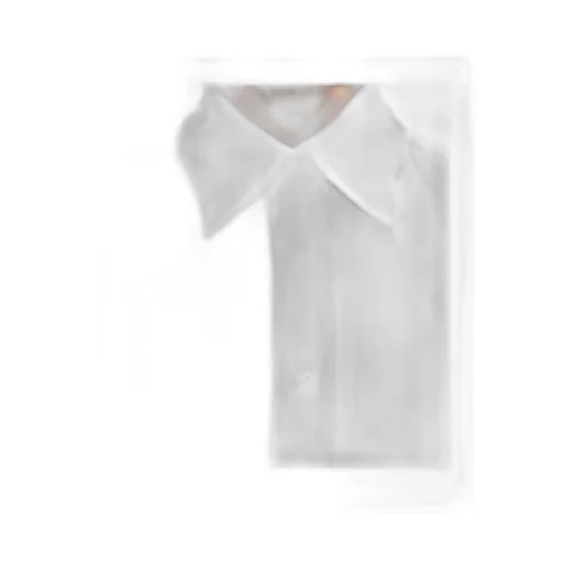 Button-Down Long-Sleeved Shirt