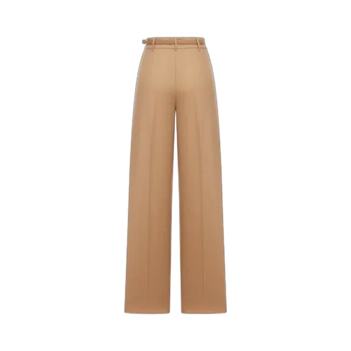 Pleated Trousers