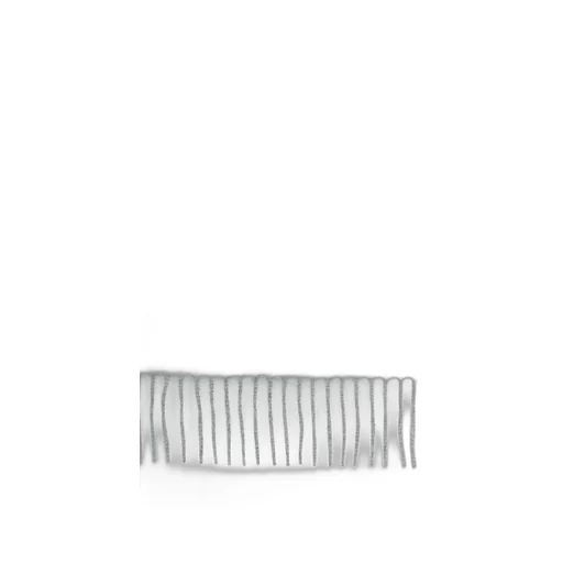 Wsteddy Fringed Edge Scarf