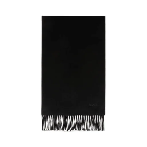 Cashmere Stole With Embroidery And Fringing