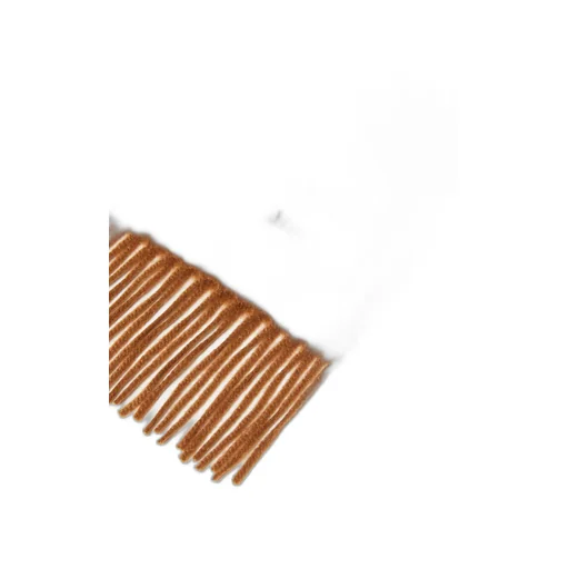 Cashmere Stole With Embroidery And Fringing