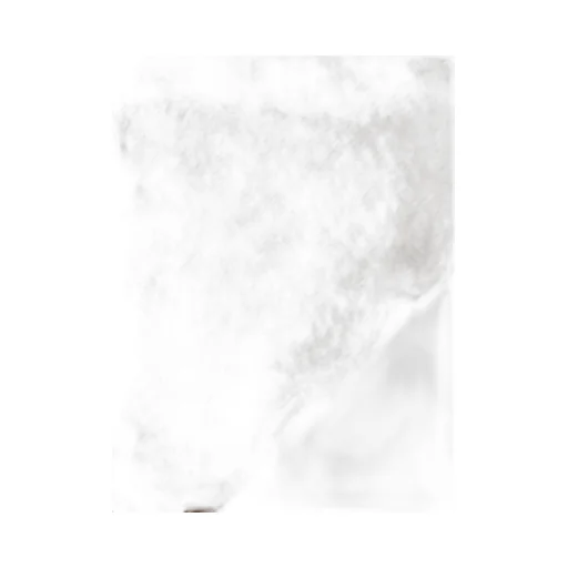 Logo Embroidered Fringed Scarf