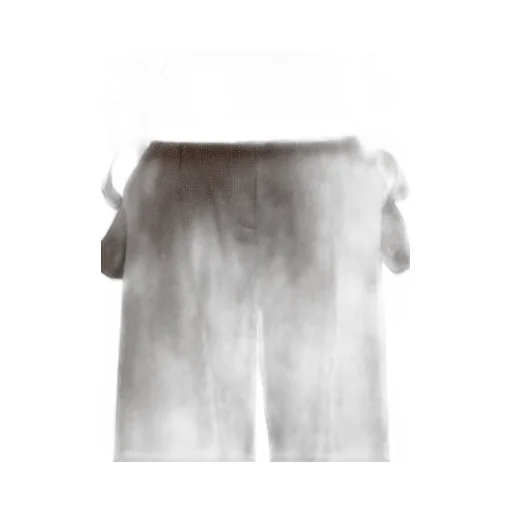 Aereo Pleated Trousers