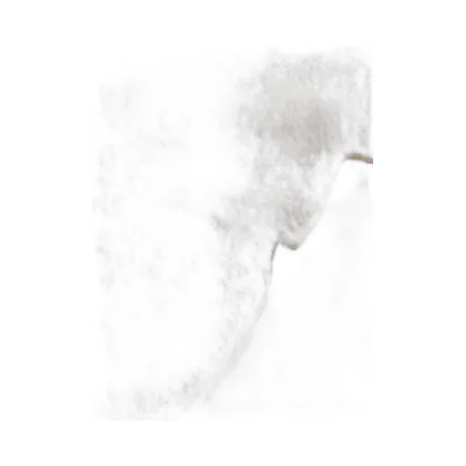 Wsdalia Fringed Edge Scarf