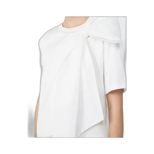 Colle Bow-Detailed Crewneck Top