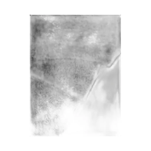Wsdalia Fringed Edge Scarf