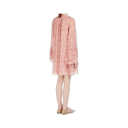 Printed Georgette Dress