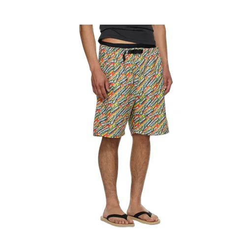 Board Swim Shorts