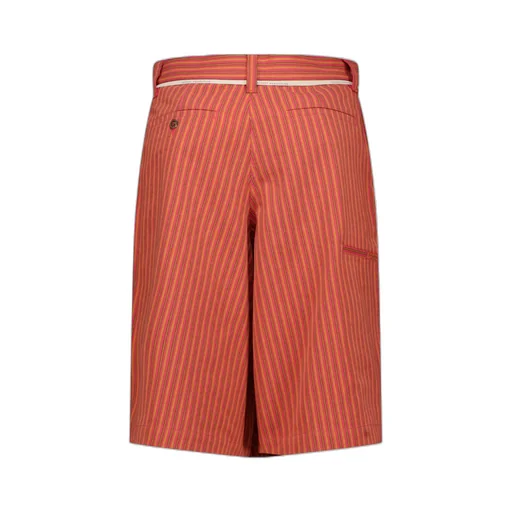 Twisted Skate Shorts