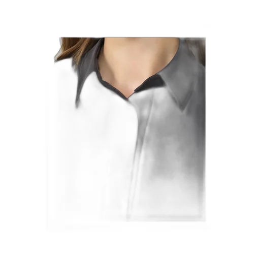 Silk Shirt