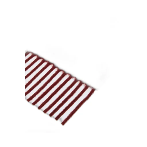 Logo Embroidered Fringed Edge Scarf