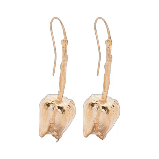 Irregular Shape Earrings